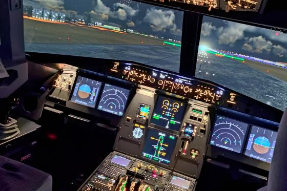 Flugsimulator im Jura - 45 Minuten für 1 Person 5 