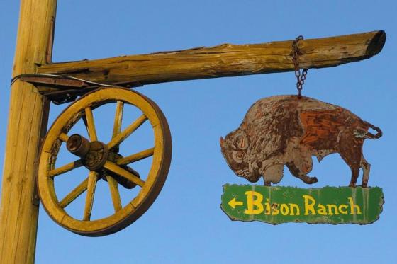 Séjour Far West au Bison Ranch - Au Près d'Orvin - 1 nuitée pour 2 pers avec petit-déjeuner 1 