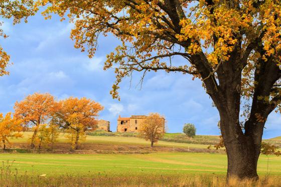 Roadtrip surprise en Italie - 2 jours en hôtel 3* ou plus, en semaine, pour 2 personnes 10 