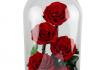 Echte Rosen im Glas - ewig blühend 1