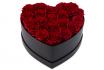 Rosenbox - 20 ewig blühende Rosen 1