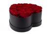 Rosenbox - 20 ewig blühende Rosen 3