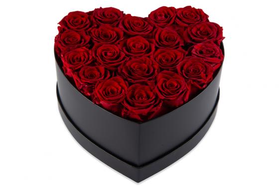 Rosenbox - 20 ewig blühende Rosen 1  Rosenbox - 20 ewig blühende Rosen 1
