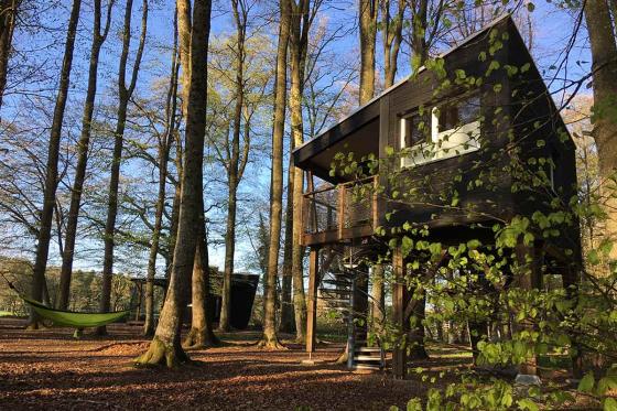 -Waldhütten-Übernachtung - inkl. Frühstück für 2 Personen   -Waldhütten-Übernachtung - inkl. Frühstück für 2 Personen