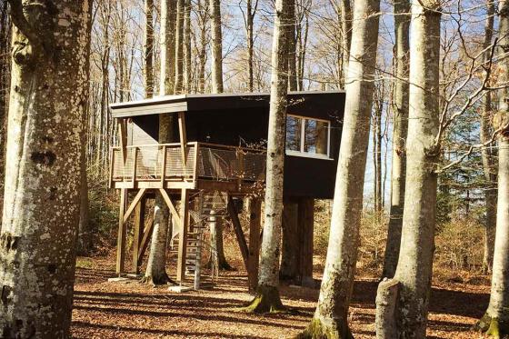 -Waldhütten-Übernachtung - inkl. Frühstück für 2 Personen 14  -Waldhütten-Übernachtung - inkl. Frühstück für 2 Personen 14