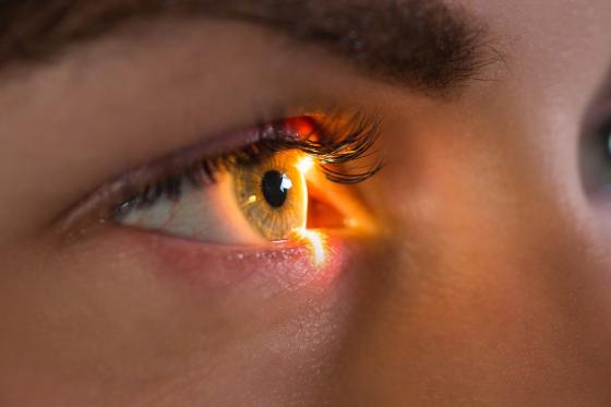 Irisanalyse - in St. Gallen für 1 Person  