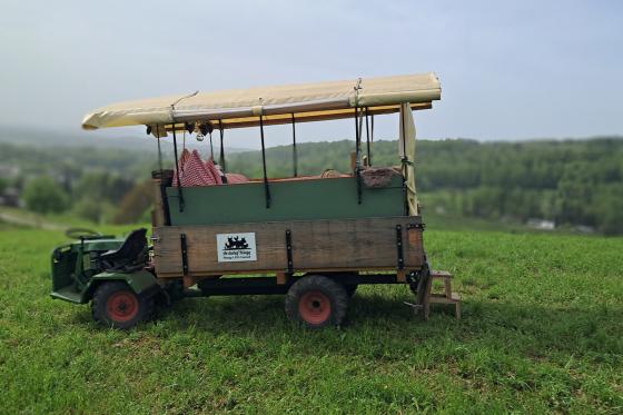 Romantik pur im Planwagen - 1 Übernachtung inkl. Frühstück für 2 Personen 3 