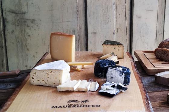 Käse & Wein Degustation - im historischen Käsekeller für 2 Personen 1 