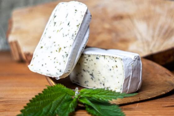 Käse & Wein Degustation - im historischen Käsekeller für 2 Personen 4 