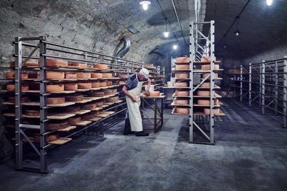 Käse & Weisswein  - Sommelier-Paket für 1 Person 1 