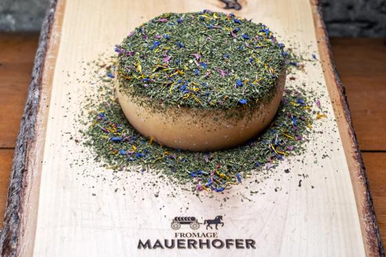 Käse & Weisswein  - Sommelier-Paket für 1 Person 3 