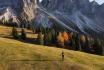 Luxuriöses All-Inclusive  - in den Dolomiten im Superior Panorama für 2 Personen 14