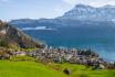 Brüggli Forelle mit Zitronenbutter - 3-Gang-Menü am Vierwaldstättersee für 2 Personen 2