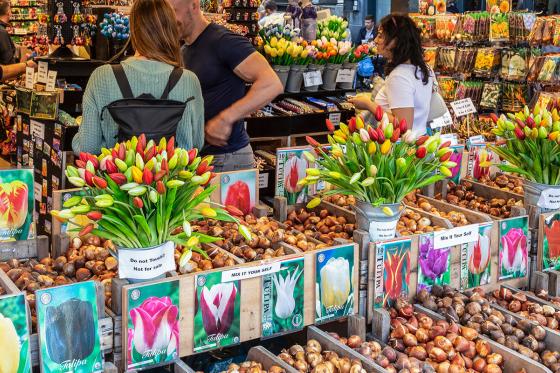 Séjour à Amsterdam - 2 nuits au Pays-Bas avec petit déjeuner en semaine pour 2 personnes 1 