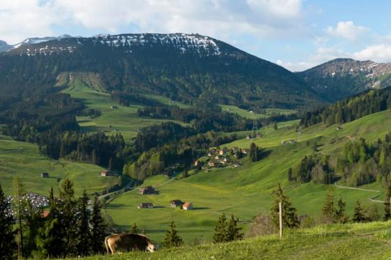 Bobbahn Fahrt im Appenzell - 2 Bobbahn Fahrten für 2 Personen 5 