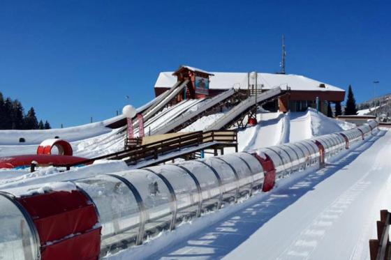Tobogganing à Leysin - 1h50 de fun en snowtube pour 2 personnes 6 
