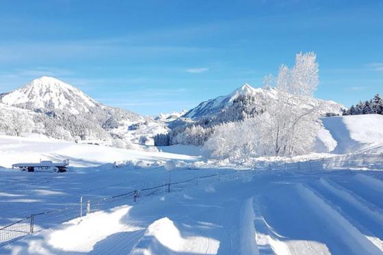 Tobogganing à Leysin - 1h50 de fun en snowtube pour 2 personnes 11 