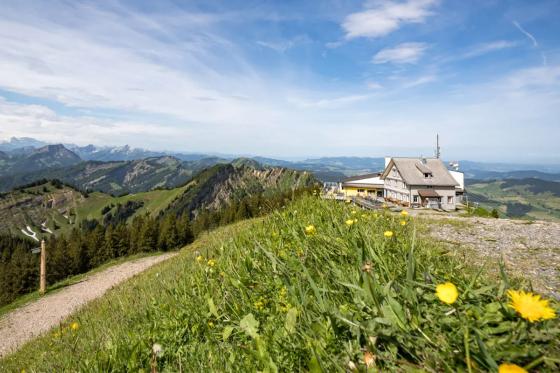 Frühstück à discrétion - auf dem Kronberg inkl. Luftseilbahn für 2 Personen 2 
