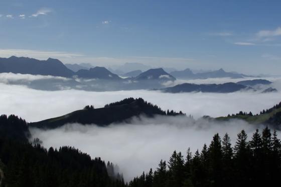 Frühstück à discrétion - auf dem Kronberg inkl. Luftseilbahn für 2 Personen 7 