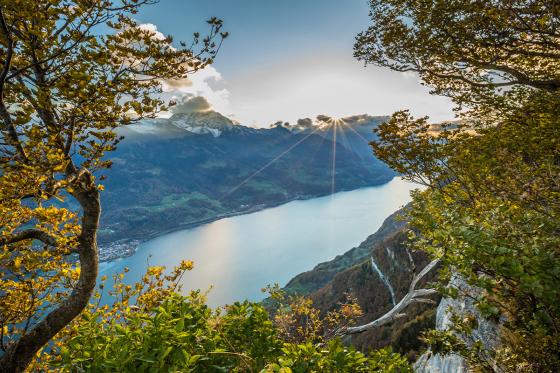 Croisière sur le lac de Walen - Carte journalière du lundi au vendredi pour 1 personne 4 