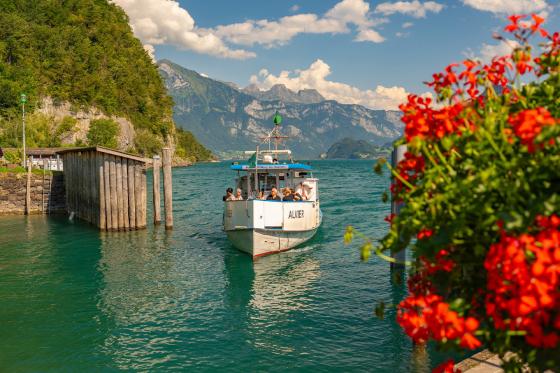 Croisière sur le lac de Walen - Carte journalière du lundi au vendredi pour 1 personne 7 