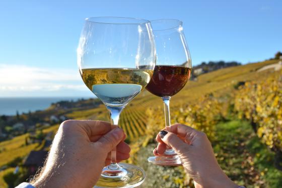 Vins & Produits du terroir - Dégustation conviviale pour 2 personnes  