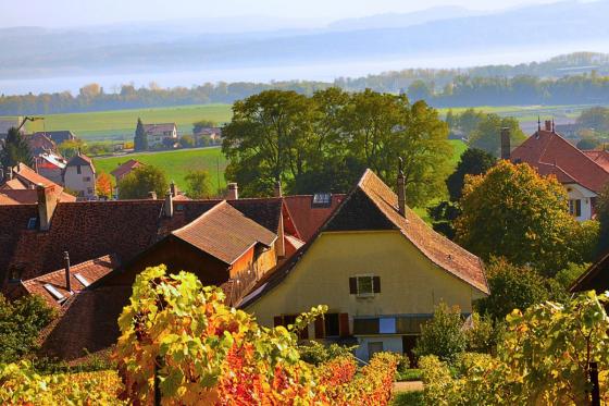 Vins & Produits du terroir - Dégustation conviviale pour 2 personnes 2 