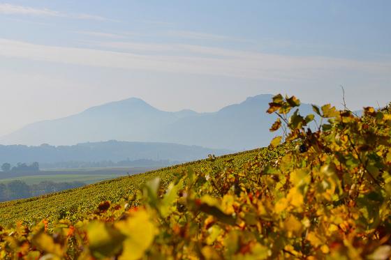 Vins & Produits du terroir - Dégustation conviviale pour 2 personnes 6 