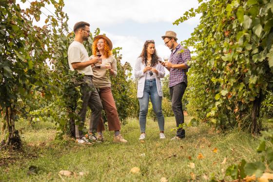 Weinverkostung - inklusive Apéro und Führung für 4 Personen  