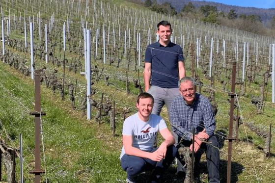 Weinverkostung - inklusive Apéro und Führung für 4 Personen 6 