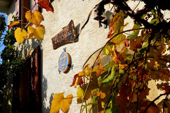 Weinverkostung - inklusive Apéro und Führung für 4 Personen 7 