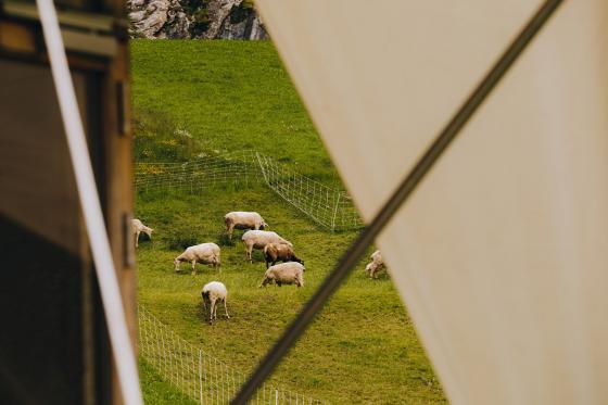 Séjour en Tiny House  - & panier petit déjeuner dans les Grisons pour 2 personnes 3 