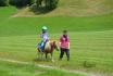 Ponyvermietung - in Bern für 1 - 3 Personen 2