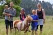 Ponyvermietung - in Bern für 1 - 3 Personen 7