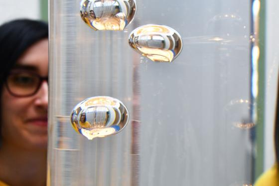 Explorer les cinq sens - Visite au musée Sensorium pour 1 personne 3 