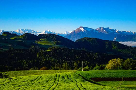 Tipi-Übernachtung mit Bergsicht - und Hängematten in Thun für 4 Personen 9 