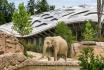 Journée au Zoo de Zurich - Entrée au Zoo et transport en minibus pour 1 personne 6