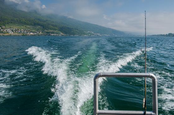 Brunch gourmand à Bienne - Buffet du dimanche pour 2 personnes 5 