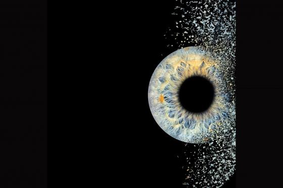 Photographie d'iris à Montreux - Sous format digital pour 2 personnes 1 