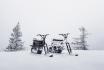 Snowmobile in Engelberg - Schneetöff, MoonBike & Bobsla fahren für 2 Personen 6