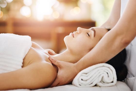 Spa, massage & repas à Nendaz - Massage de 50 min et menu à 3 plats le midi inclus pour 1 personne 1 