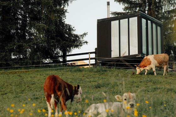 Glaskubus Übernachtung - unter dem Sternenhimmel für 2 Personen 15 