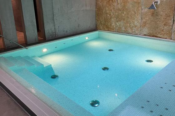 Private Spa - inkl. Mahlzeit in Basel für 2 Personen  