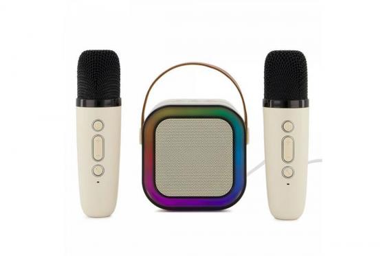 Mini Karaoke Set - mit 2 Wireless Mikrofonen  