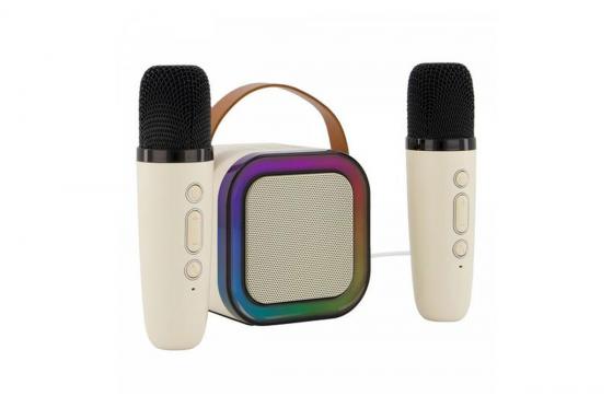 Mini Karaoke Set - mit 2 Wireless Mikrofonen 1 