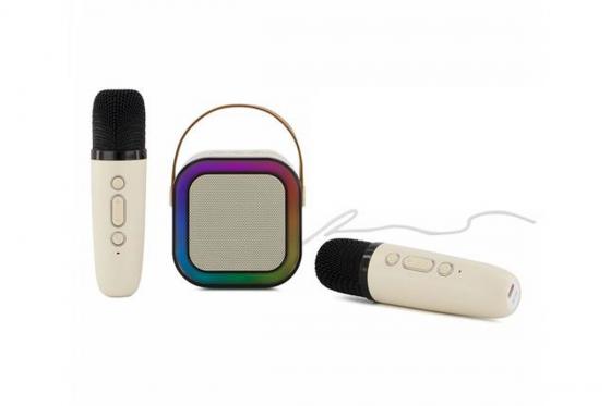 Mini Karaoke Set - mit 2 Wireless Mikrofonen 2 