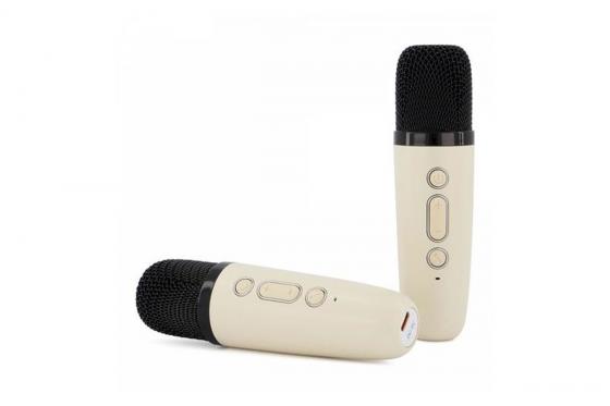 Mini Karaoke Set - mit 2 Wireless Mikrofonen 3 