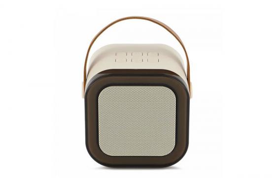 Mini Karaoke Set - mit 2 Wireless Mikrofonen 4 