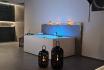 Übernachtung im private Loft - Diamond Luxury Suite mit Whirlpool, Sauna und Snacks für 2 3