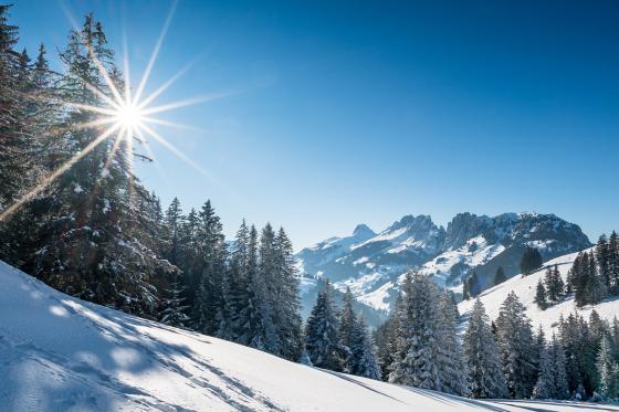 Schneeschuhwanderung & Fondue - Für 1 Person 2 